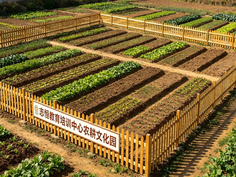 邵阳叛逆小孩管教学校深度解析：如何为孩子选择真正有效的成长护航方案